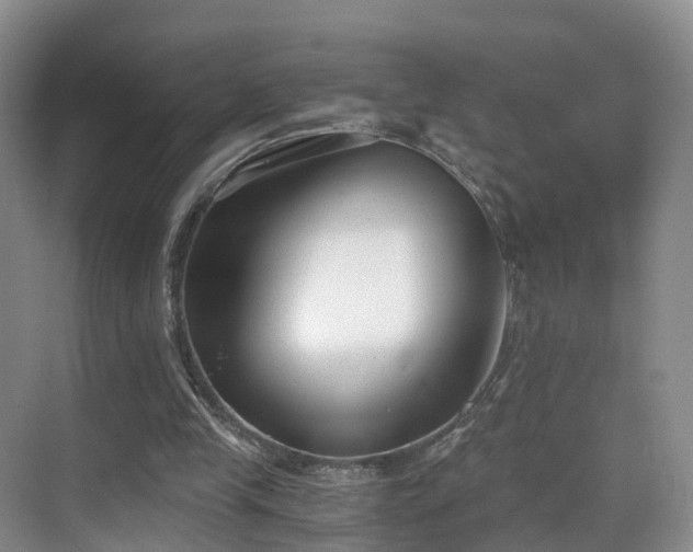 X0000069800245200605191112