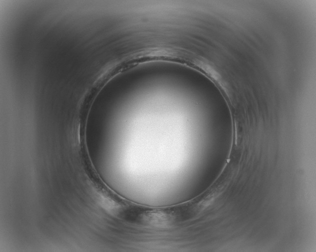 X0000069800253200605191112
