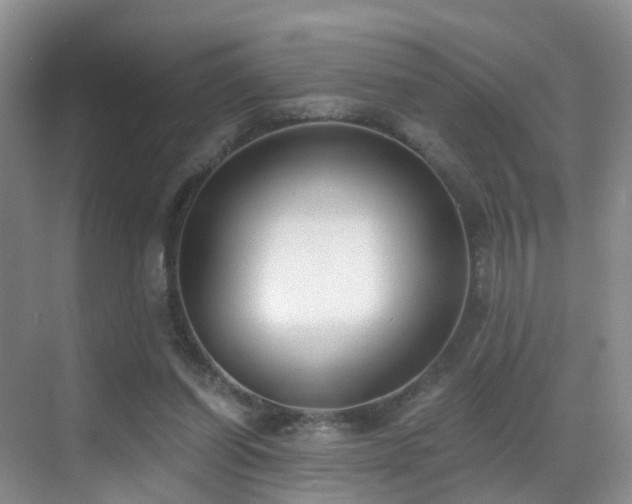 X0000069800254200605191112
