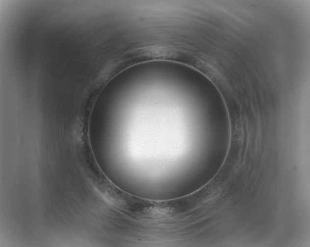 X0000069800255200605191112