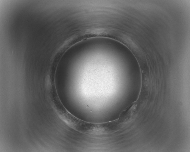 X0000069800256200605191112
