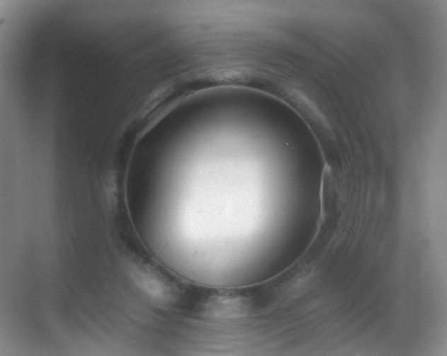 X0000069800260200605191112
