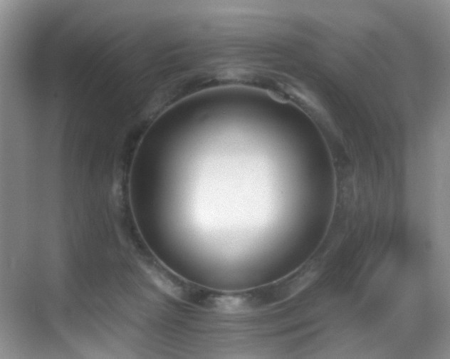 X0000069800265200605191112