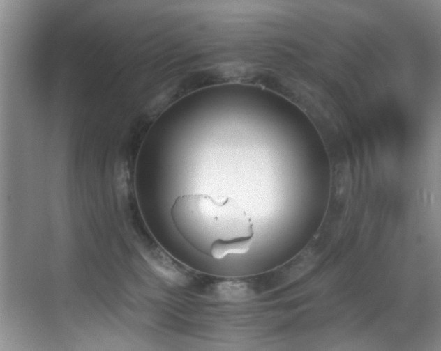 X0000069800279200605191112
