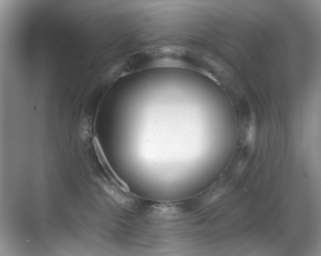 X0000069800284200605191112