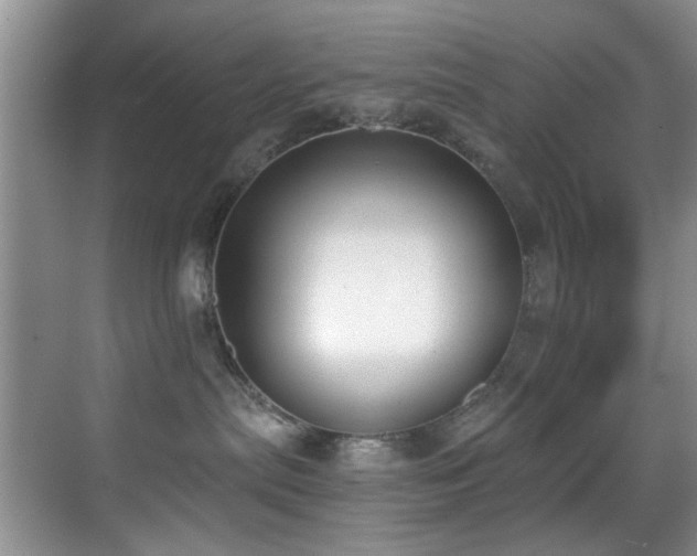 X0000069800287200605191112
