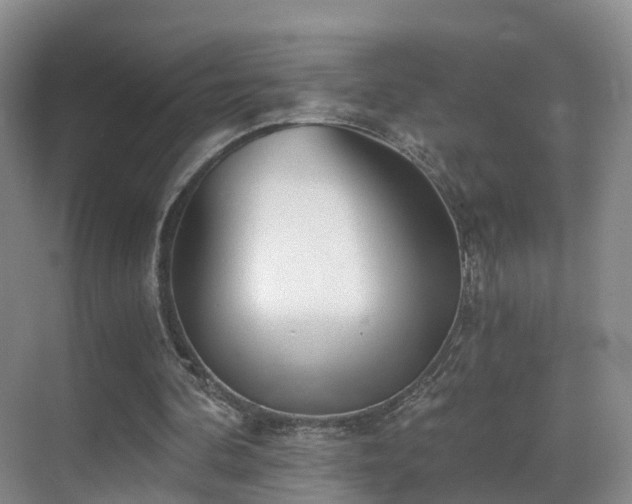 X0000069800292200605191112