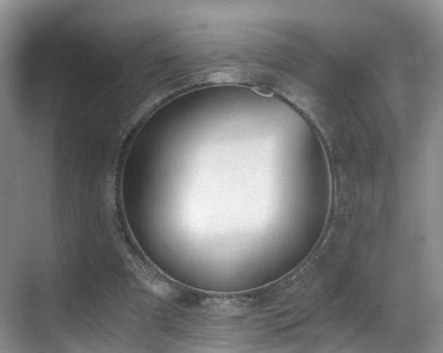 X0000069800297200605191111
