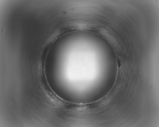X0000069800306200605191111