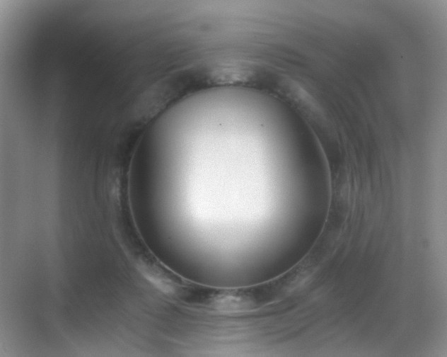 X0000069800315200605191111