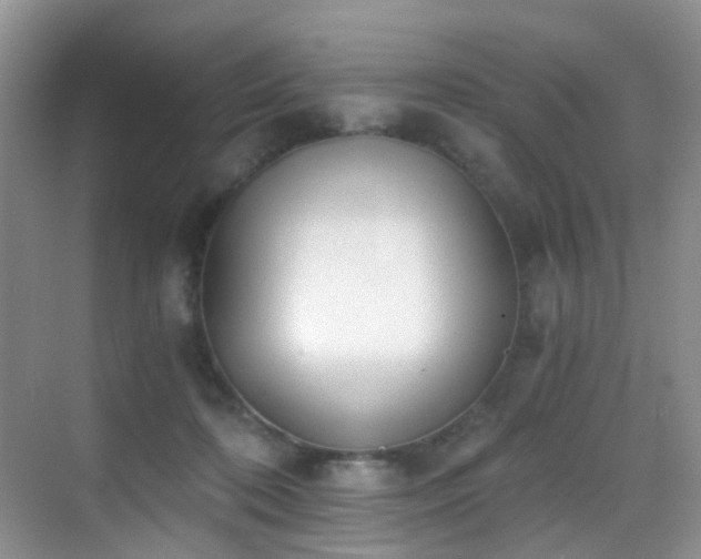 X0000069800316200605191111