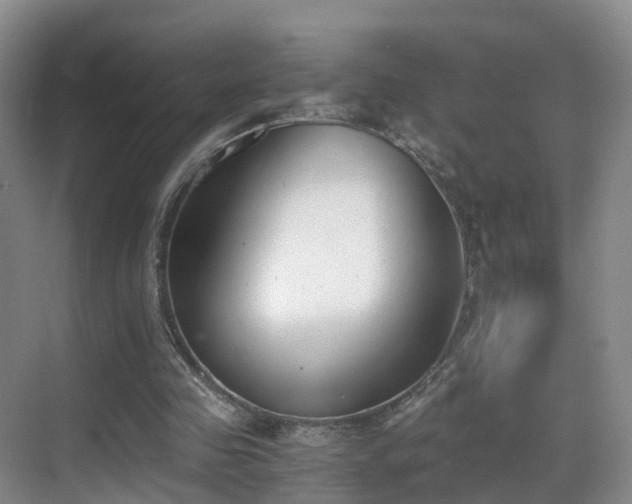 X0000069800341200605191110