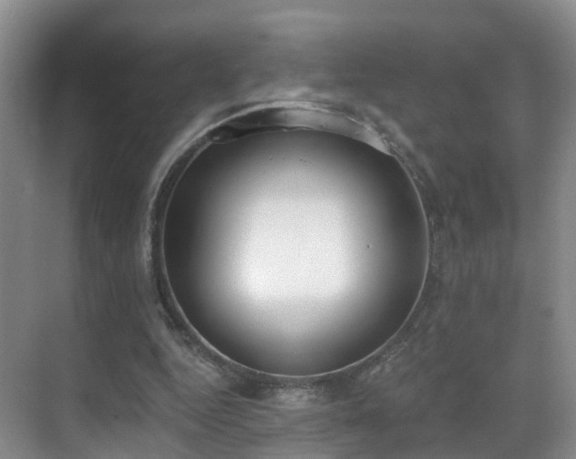 X0000069800344200605191110
