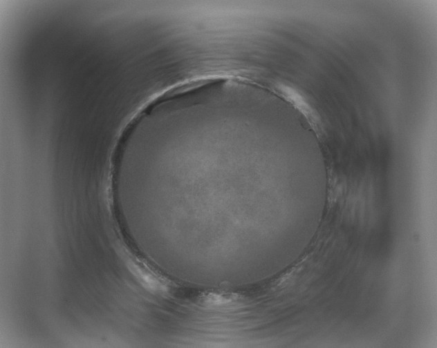 X0000069800346200605191110