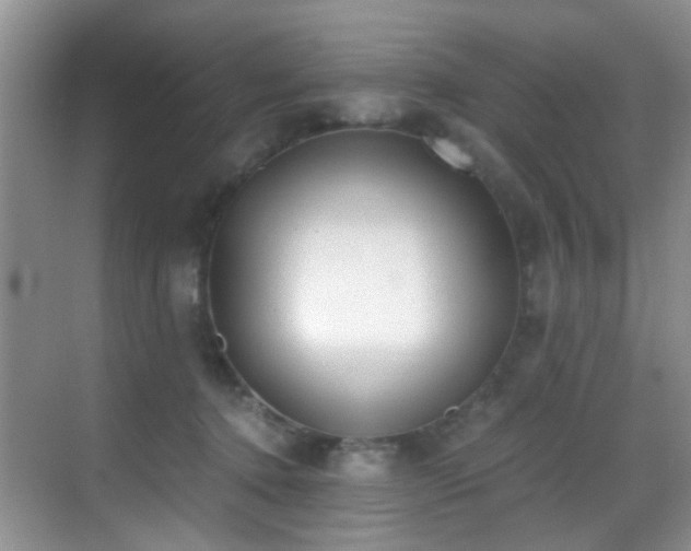 X0000069800368200605191110