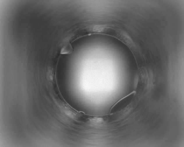 X0000069800374200605191111