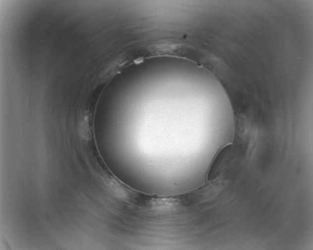 X0000069800378200605191111