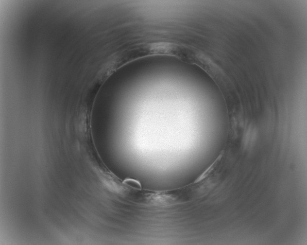 X0000069800379200605191111
