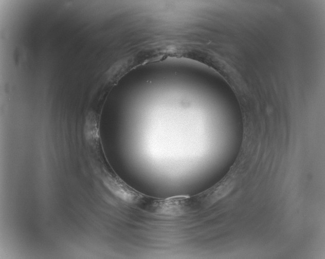 X0000069800384200605191111