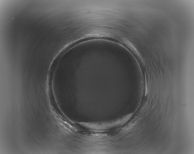 X0000069800387200605191110