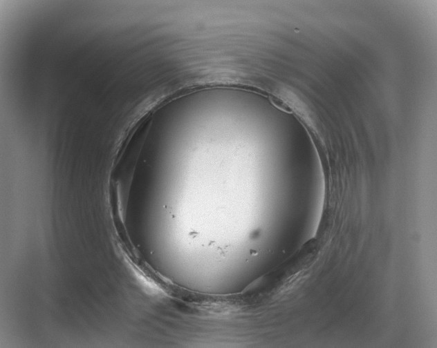 X0000069800389200605191110