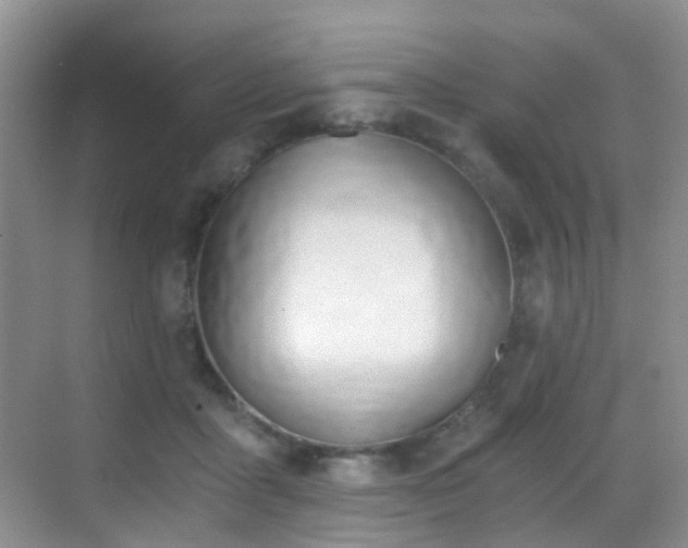 X0000069800411200605191109