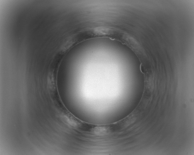 X0000069800418200605191109