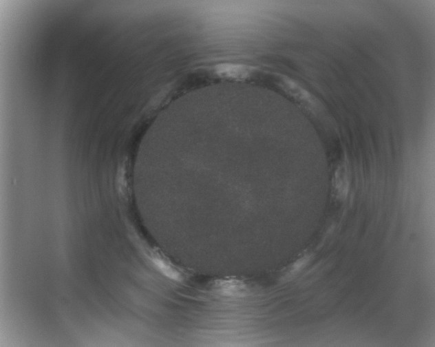 X0000069800424200605191109