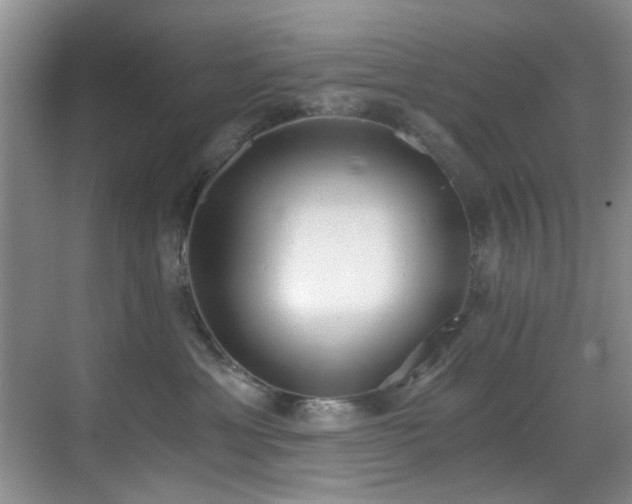 X0000069800429200605191109