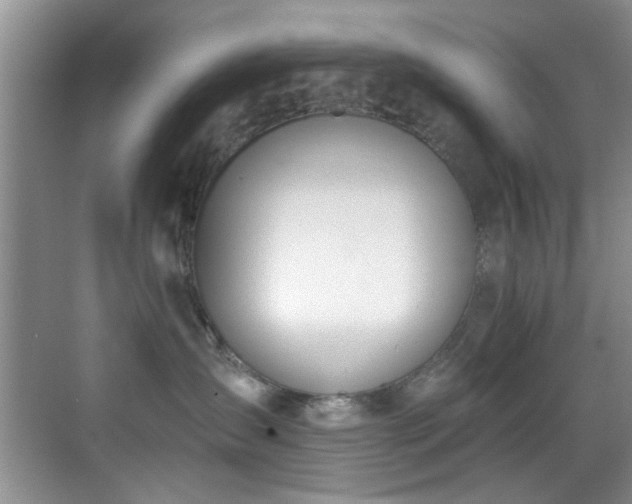 X0000069800431200605191109