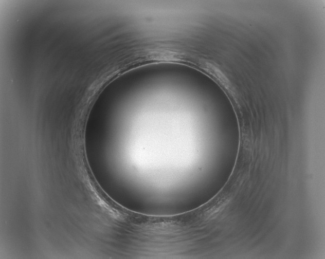 X0000069800433200605191108