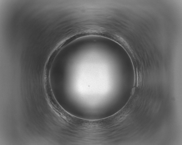 X0000069800435200605191108