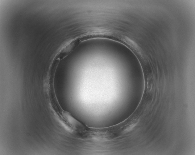 X0000069800436200605191108
