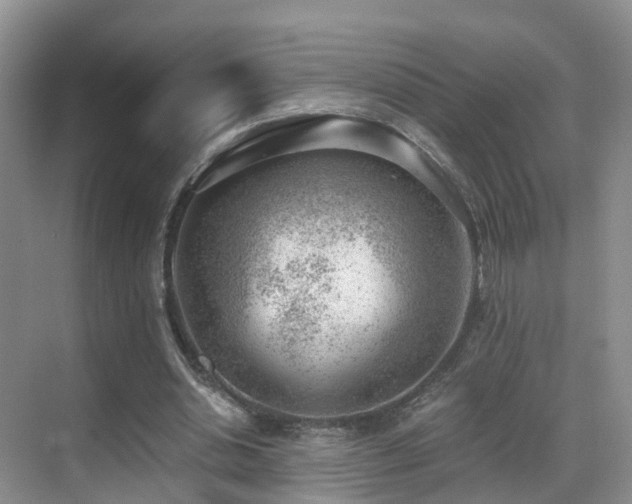 X0000069800438200605191108