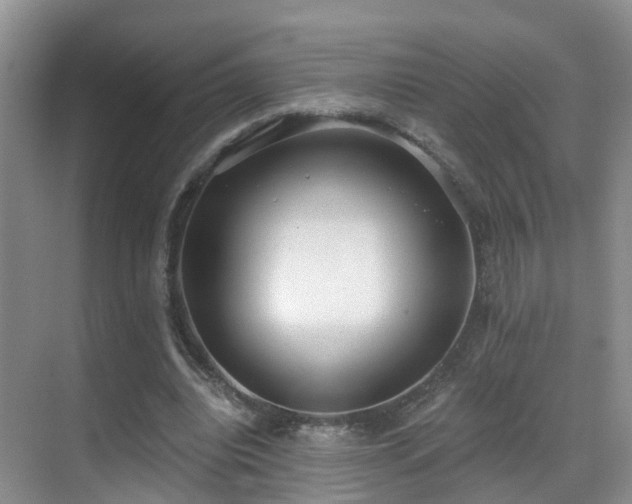 X0000069800440200605191108