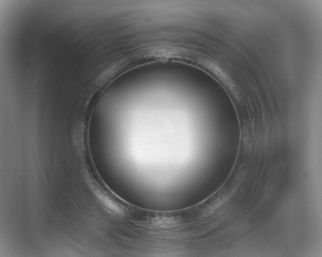 X0000069800445200605191109