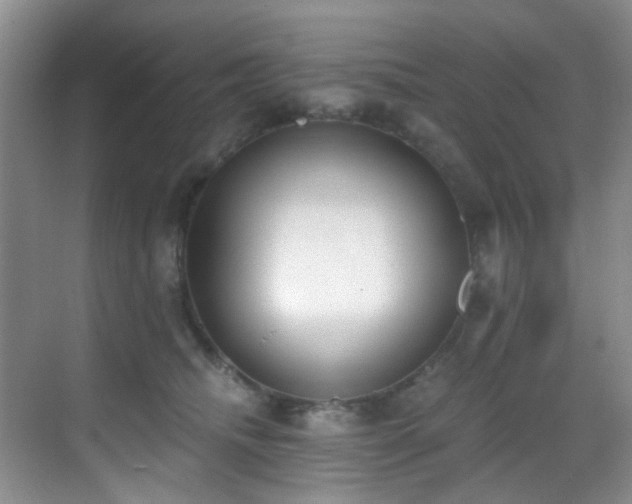 X0000069800468200605191109