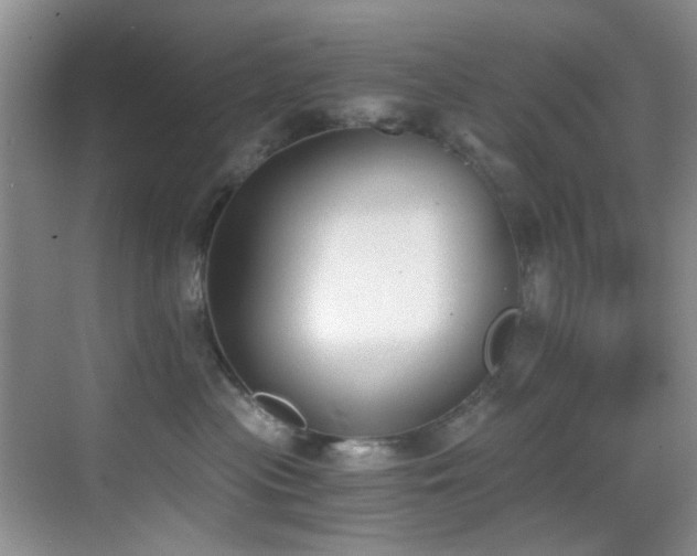 X0000069800477200605191109