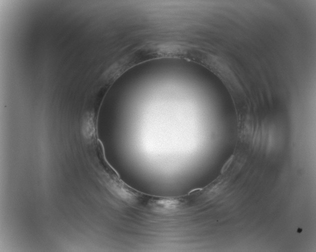 X0000069800478200605191109