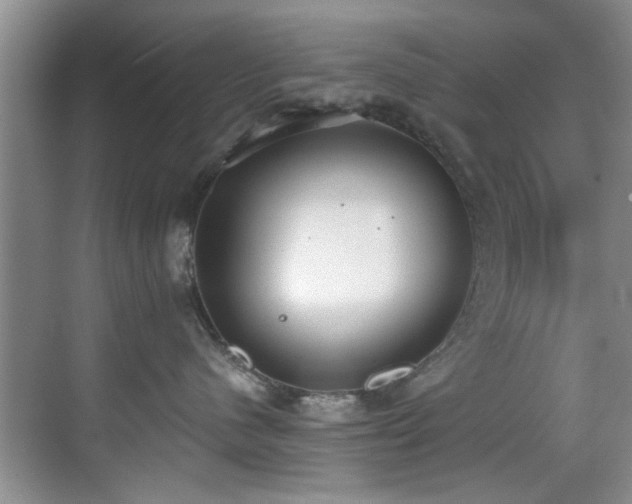 X0000069800480200605191109
