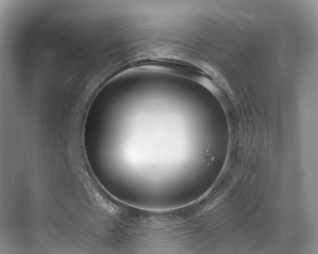 X0000069800481200605191108
