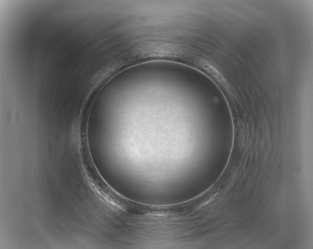 X0000069800482200605191108