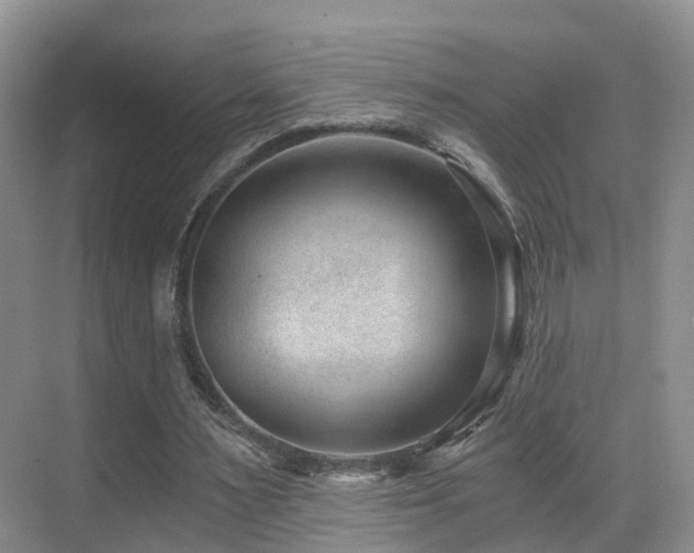 X0000069800483200605191108