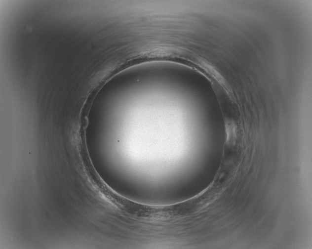 X0000069800485200605191108