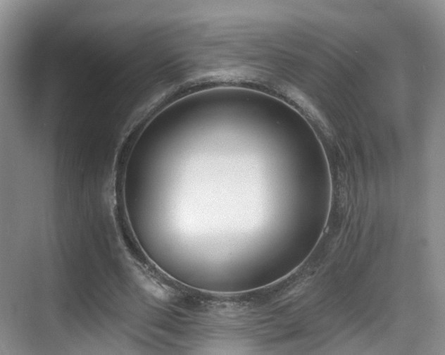 X0000069800486200605191108