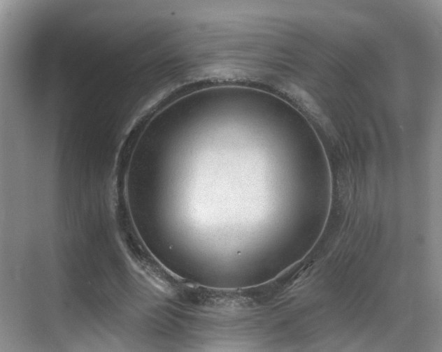 X0000069800488200605191108