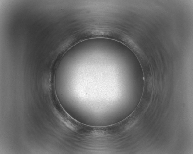X0000069800490200605191108
