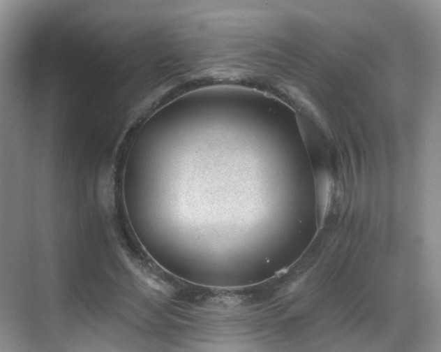X0000069800492200605191108