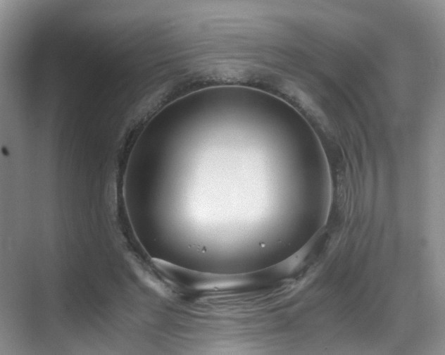 X0000069800493200605191108