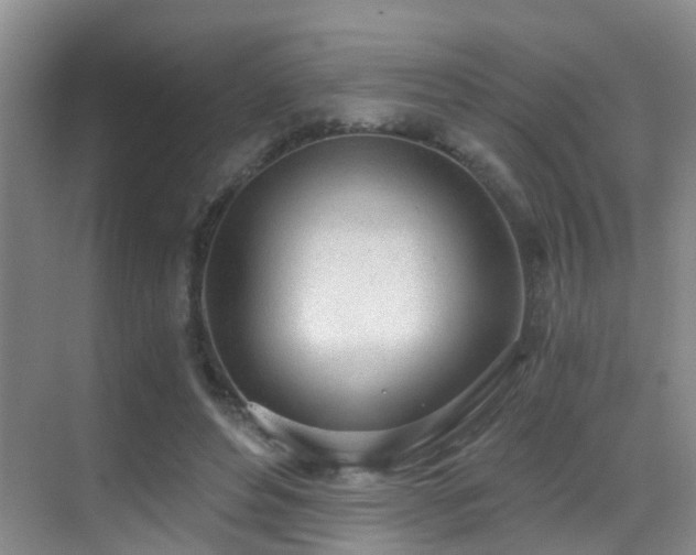 X0000069800496200605191108